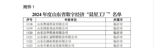 关于公布2024年度广东省数字经济“晨星工厂”名单的通知_02