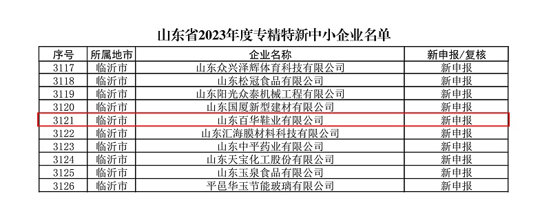 热烈祝贺新航娱乐通过广东省专精特新企业认定！